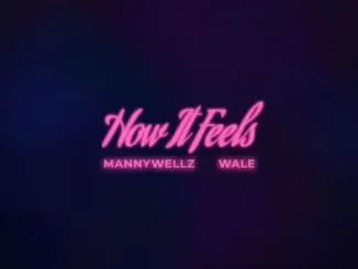 Mannywellz & Wale – How It Feels Mp3 Download