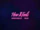 Mannywellz & Wale – How It Feels Mp3 Download