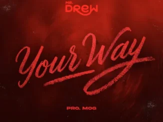 Mr Drew – Your Way Mp3 Download