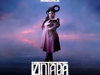 Nobuhle – Izintaba Ft. Kabza De Small & Young Stunna Mp3 Download