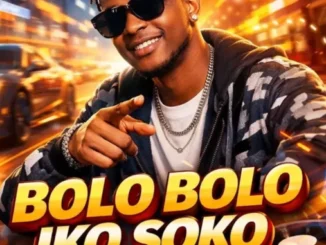 Prince MK Baagi – Bolo Bolo Iko Soko (DJ Yk Mule Remix Speed Up Version) Mp3 Download