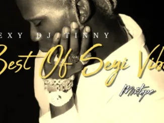 Sexy DJ Tinny – Best Of Seyi Vibez Vol 2 2026 Mix Mp3 Download