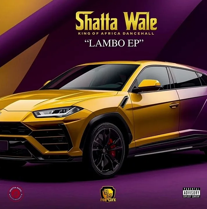 Shatta Wale – Are You Sure Mp3 Download