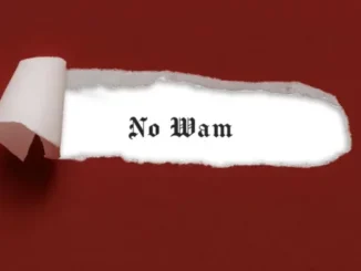 Skiibii & BhadBoi OML – No Wam Mp3 Download
