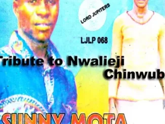 Sunny Mota and His Group – Chinedu Obukezie Mp3 Download