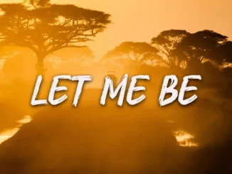 The Session Cover – Let Me Be Mp3 Download