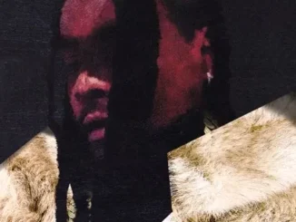 Wale & Leon Thomas – Watching Us Mp3 Download