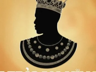 Wendy Shay – African King Mp3 Download