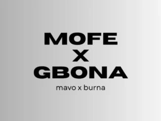 Wilcoxx – mofe x gbona Mp3 Download