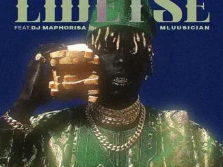Xduppy – Lwetse Ft Angekebabuye Mc, DJ Maphorisa & Mluusician Mp3 Download