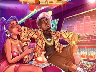 TF Boy – In Love Mp3 Download