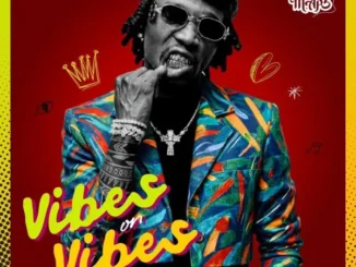 Yo Maps – Vibes On Vibes (Album) Mp3 Download