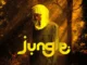 Ayox – Jungle Mp3 Download
