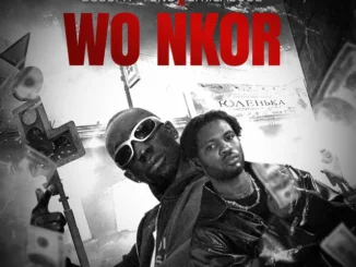 Bosom P-Yung – Wo Nkor Ft. Lyrical Joe Mp3 Download