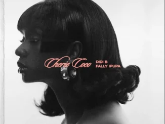 DIDI B – Chérie Coco Ft. FALLY IPUPA Mp3 Download