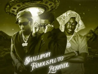 DJ Amacoz – Best Of Famous Pluto, Shallipopi & ZerryDL 2026 Mix Mp3 Download