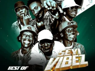 DJ Amacoz – Best Of Seyi Vibez 2026 Mix Mp3 Download