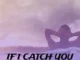 DJ Damlex Soundit – If I Catch You Mp3 Download