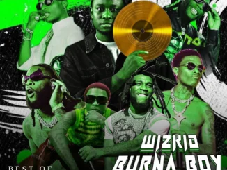 DJ Glitter – Best Of Burna Boy & Wizkid 2026 Mix Mp3 Download