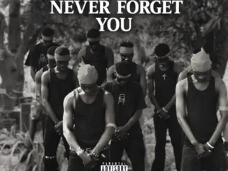 Dreamar – Never Forget You ft. Kweku Tinboa Mp3 Download
