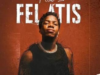 Felatis, Fela 2 – Eiye Orientation Mp3 Download