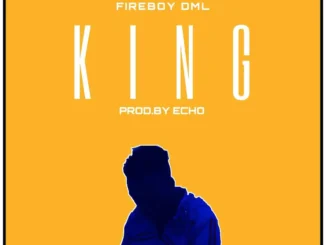Fireboy DML – King Mp3 Download