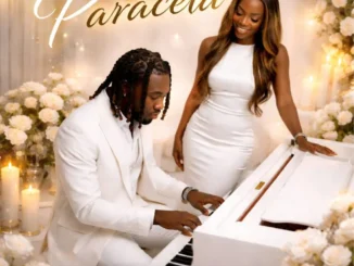 Icyy – Paraceta Ft. Freda Mp3 Download