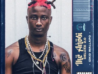 Izkid Wallapo & Terry Apala – Afro Deep ft. Boy Muller Mp3 Download