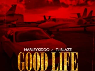 Marleykiddo & T.I Blaze – Good Life Mp3 Download