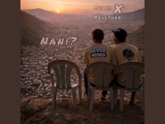 Pelzy Never Mind Ft Kamanda pedeshee – Nani Mp3 Download