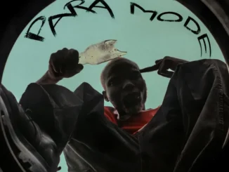 Neezaamiles ft. DJ YK Mule – Para Mode (Refix) Mp3 Download