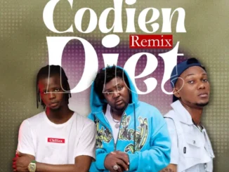 Nimoni – Codien Diet (Remix) ft. Mascara Vibez Mp3 Download