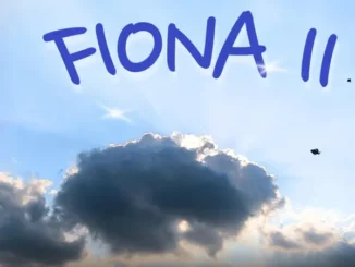 SAGY GEE – Fiona II ft. Mr442 Mp3 Download