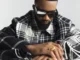 Fally Ipupa – Doucement Bebe Mp3 Download