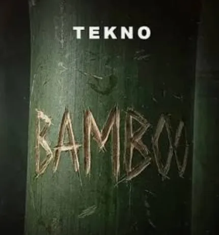 Ella Langley & Morgan Wallen – I Can’t Love You Anymore Mp3 Download