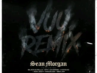Sean Morgan – Vuu Remix Mp3 Download
