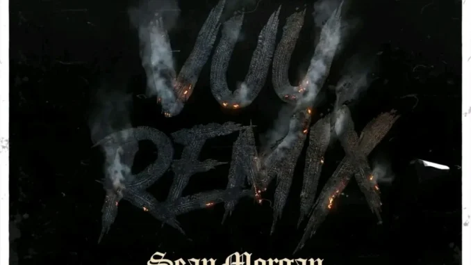 Sean Morgan – Vuu Remix Mp3 Download