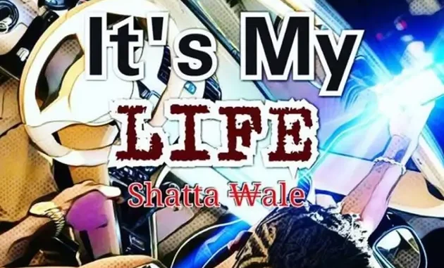 Shatta Wale – It’s My Life ft. Sarkodie Mp3 Download