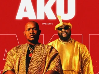 SuazmrH – Aku(Wealth) (Remix) Ft. Ojadiliigbo Mp3 Download