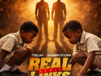 TeeJay – Real Links (Remix) Ft. Shawn Storm Mp3 Download
