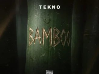 Tekno – Bamboo Mp3 Download