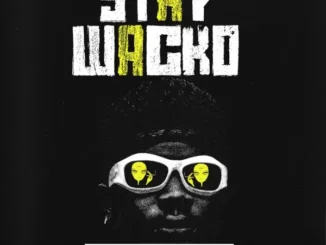 TheFeyiii – Stay Wacko Mp3 Download