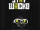 TheFeyiii – Stay Wacko Mp3 Download