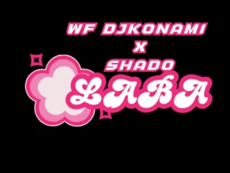 WF DJ Konami & Shado – Laba Mp3 Download