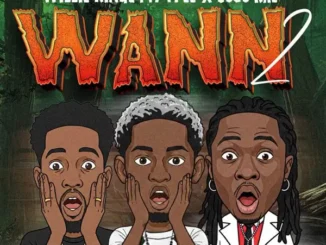 Willie Kings – Wann 2 (Remix) ft. Cojo Rae & Ypee Mp3 Download