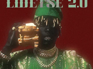 Xduppy – Lwetse 2.0 Mp3 Download