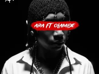 Bella Shmurda – Ara (600M) Ft. Olamide Ara Mp3 Download