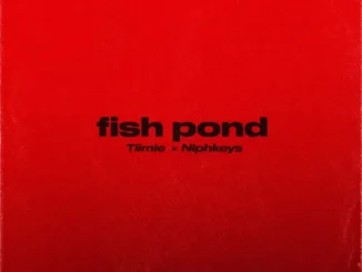 Tiimie – Fish Pond Ft. Niphkeys Mp3 Download