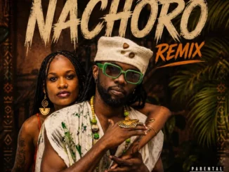 Damian Soul – Nachoro (Remix) Mp3 Download