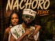 Damian Soul – Nachoro (Remix) Mp3 Download